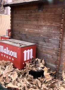 Falta de mantenimiento en los parques de Alboraya